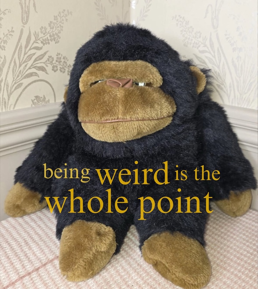 A stuffed gorilla, captioned: being weird is the whole point